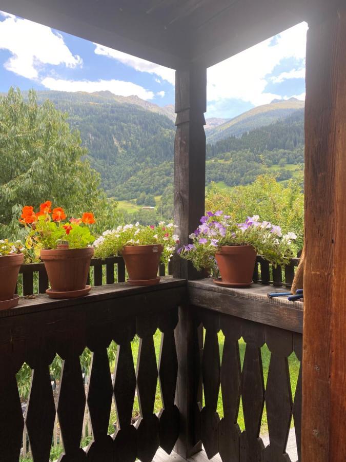 Casa Vegana Panzió Trun Kültér fotó