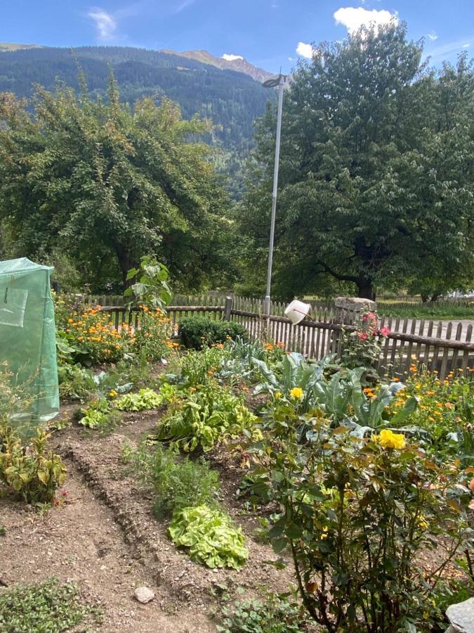 Casa Vegana Panzió Trun Kültér fotó